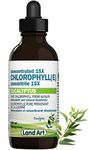 Liquid Chlorophyll Drops Eucalyptus 15X Concentrated 100ml - Detox - Alkaline - Natural Body Deodorant – Antioxidant - Cold Extracted from Non-GMO Alfalfa - Made in Canada