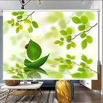 Roller Blinds Roller Blinds Green Blackout Roller Shade, Leaf Pattern Fabric Roll up Shades, Indoor Kitchen Living Room Window Curtain, Easy to Pull Down & up (Color : W x H, Size : 90CM x 100cm(3FT