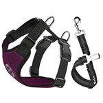 SlowTon Dog Car Harness Seatbelt Set, Pet Vest Harness with Safety Seat Belt for Trip and Daily Use Adjustable Elastic Strap and Multifunction Breathable Fabric Vest in Vehicle for Dogs