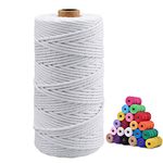 jijAcraft Macrame Cord 3MM for Crafts,100M White Cotton Macrame Craft String Rope for Wall Hanging Plant Hanger Knitting