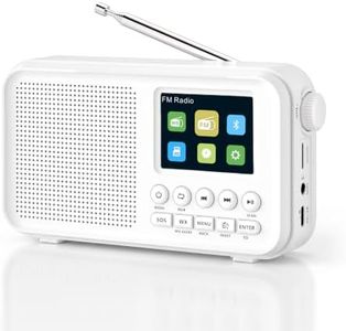 PPLEE Portable FM Radio with Bluetooth, NOAA Weather Alert, Dual Alarms