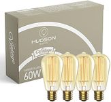 Edison Light Bulbs 60W - E26/E27 Bulb - 2100K Dimmable Decorative Lightbulbs - ST64 Style Warm Light - Antique Vintage Light Bulb Outdoor, Chandelier, Lamp