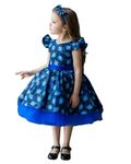 Niren Enterprise Blue Dragon Peacock Feather ptinted Baby Girl Dress and Frock (Blue Dragon Frock, 2-3 Years)