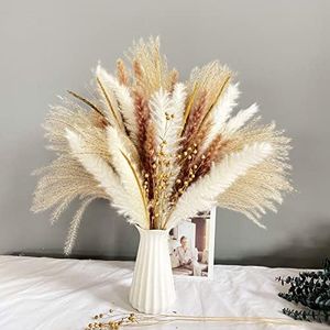 90Pcs Natural Pampas Grass Natural Dried Flowers Bouquet Fluffy Pampas Grass Decor with 5 Different Flower Variants Ideal for Vases Decoration Boho Room Decor Wedding Decor