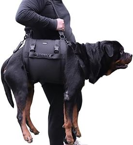 Dog Carry 