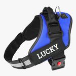 Eagle Pets Customized Dog Vest Harness with Pet Name, Personalized Dog Belt with Dog Name, No Pull Harness Reflective Vest Harness Belt Adjustable.Best for 11-23kg Dogs. (Medium, Blue)