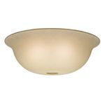 Casablanca Fan Company 99058 Standard Shape Glass Bowl for 99023, Tea Stain