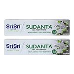 Sri Sri TATTVA shuddhta ka naam Sudanta Herbal Gel Toothpaste - All Natural, SLS Free, Fluoride Free Tooth Paste with Charcoal, Salt & More - 100g (Pack of 2), for Kids and Adults