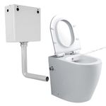 Comfort Height Back to Wall Toilet with Bidet Concealed Cistern All in One Integrated Combined Bidet Toilet BTW Rimless Bathroom Toilets Ceramic WC Pan Soft Close Seat Compact WC