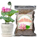 GOTVUGE Aquatic Soil for Pond Plants 1000g, Pond Clay Aquarium Soil Suitable for Small Ponds Water Plants like Lotus, Water Lily, Safe for Fish and Aquatic Life