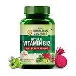 Vlado's Himalayan Organics Plant Based Vitamin B12 Supplement | B1,B2,B3,B5,B6,B7,B9,Moringa| Boost Energy Level | Good For Digestion And Nerve Health | Glowing Skin For Men & Women - 60 Vegetarian Capsules