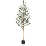 SOGUYI Artificial Olive Tree, 6FT Tall Faux Silk Plant with Natural Wood Trunk and Lifelike Fruits for Home Office Decor - Indoor Fake Potted Tree, 1 Pack