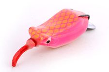 Hunting Hobby® Fishing Floating Frog Lure (11g - 6cm)