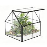 Ferrisland Glass Plant Terrarium Container Wardian Case Indoor Succulent Planter w/Door - 5.0"x4.3"x4.3"