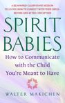 Spirit Babies: How to Communicate with the Child You're Meant to Have