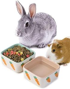 JanYoo Hamster Food Bowl Guinea Pig Feeder Ceramic for Cage with Water Supplies and Accessories for Bunny Blue Pink (2 Pack)