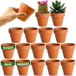 Green Thumbz Terracotta Plant Pots - 8cm x 16 Pack Small Terracotta Plant Pots - Multi Purpose Mini Terracotta Pots for Plants, Flowers, Candle Making, and Painted Art