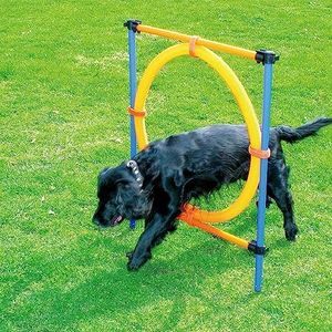 PAWISE Dog Agility Training Equipment, Puppy Agility Kit with Jump Ring, Adjustable Hurdles & Weave Poles, Outdoor Dog Obstacle Course for Backyard, Park Training, Portable Dogg Exercise Set