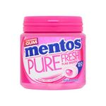 Chewing Gum | Mentos | Gum Pure Fresh Bubble Gum 50 Pieces of Gum | Total Weight 100 Grams