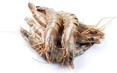 Wild Prawns, Head On, 6-7 ct. Chemi