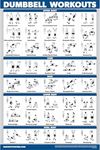 Palace Learning Dumbbell Workout Exercise Poster - Free Weight Body Building Guide | Home Gym Chart - LAMINATED, 18" x 24"