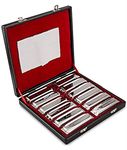 SWAN Harmonica Set 12 Keys 10 Hole 20 Tones Harmonica Blues Mini Harmonica for Adult, Professional Player,Beginner,Students with Case Bag (Silver 12 key (A B C D E F G Ab Bb Db Eb Gb))…