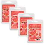 Scentsationals Wax Melts, Wax Cubes Strong Scent - Watermelon Sugar - Long Lasting Scented Wax Melts for Warmer, 2.5 oz (4-Pack)