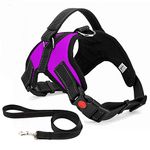 Dog Harness Xs