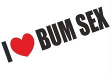 I Love Bum Sex Funny Bumper Sticker Car Van Bike Sticker Decal Free P&P PRINTED SO PEEL AND STICK