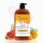 RaGaNaturals Mango Body Lotion - Refreshing Tropical Shea Butter Lotion with Argan and Avocado Oil - Plant Based, All Natural, No Artificial Flavor, Mango and Grapefruit Fragrance, Non-Greasy, Vegan, Cruelty-Free, Deeply Nourishing Moisturizer, Hydrate Dry Flaky Skin, Women, Men and Kids - 16 Fl Oz