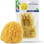 Baby Buddy Natural Grass Sea Sponge, Newborn Bath Time Essential, Textured for Exfoliation, Hypoallergenic, 2 Count