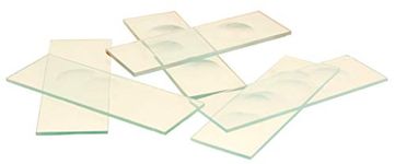 Eisco Labs Microscope Slides, with Single Concavity, Pack of 10