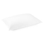 DOWNLITE Luxury White Goose Down Chamber Pillow – Hypoallergenic – Popular Hotel Pillow - Queen 20" x 30"