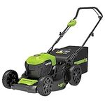 Greenworks 40V Cordless and Brushle