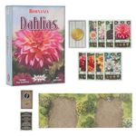 Bohnanza: Dahlias Card Game - 3-5 Players - Card Trading Game - 45 Minutes of Gameplay - Games for Family Game Night - Card Games for Kids and Adults Ages 10+ - English Version - Amigo Games