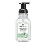 J.R. Watkins Vanilla Mint Foaming Hand Soap For Bathroom or Kitchen, Scented, USA Made And Cruelty Free, 266 Milliliters