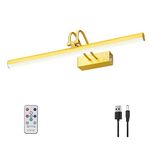 RAIFOOLLY Picture Light, 20in Battery Operated Picture Lights for Paintings,Metal Remote Display Art Light with Timer and Dimmable for Wall Painting,Frame, Portrait, Dartboard(Brass)