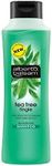 Alberto Balsam Herbal Shampoo - Tea Tree Tingle (350ml) - Pack of 6