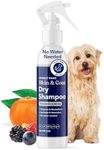 Honest Paws Dog Dry Shampoo - Water
