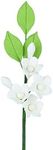 O'Creme Asian Stephanotis Filler Gumpaste Flowers, 3.5 inch x 3 inch - for Cake Decorating - Sugar Paste Decorations for Cakes, Cupcake Toppers - Birthday, Wedding, Valentines, Baby Shower - Set of 3