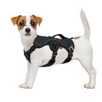 Full Harness For Dog