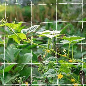 Tcamp Heavy-Duty Polyester Garden Trellis Netting Plant Climbing Net for Growing Vines Plants Vegetables Fruits Flowers, White Grow Tent (4.9Ft x15Ft, 3.5" Opening Mesh, 1 Pack Plant Net)