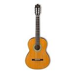 Ibanez 6 String Classical Guitar, R