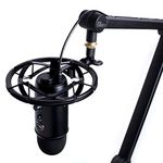 Ribbon Microphones With Shockmounts