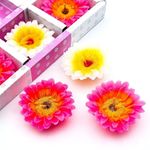 MATRIS AMOR Aroma Floating Candles | Smokeless Wax Candle | Luxury Fragrance | Water Floating | Candles Home Decor | Long Burning | Burning Time- 5-6 Hours (Pack of 6)