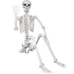 180cm Halloween life-size skeleton Halloween poseable full-body skeleton with movable joints for Halloween props scary party decoration (1, 180cm)
