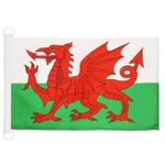 AZ FLAG Wales NAUTICAL Flag 18'' x 12'' - Welsh flags 30 x 45 cm - Banner 12x18 in for boat