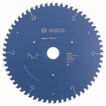 Bosch Professional Expert for Wood Circular Saw Blade (for Wood, 254 x 30 x 2.4 mm, 60 Teeth; Accessories for Circular Saws)