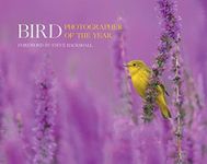 Bird Photographer of the Year: Coll