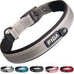 Fida Padded Dog Collar, Metal Belt Buckle Dog Collar with Double-Layer Webbing, Heavy Duty Dog Collar for Medium Dogs, Grey